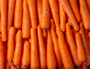 carotte