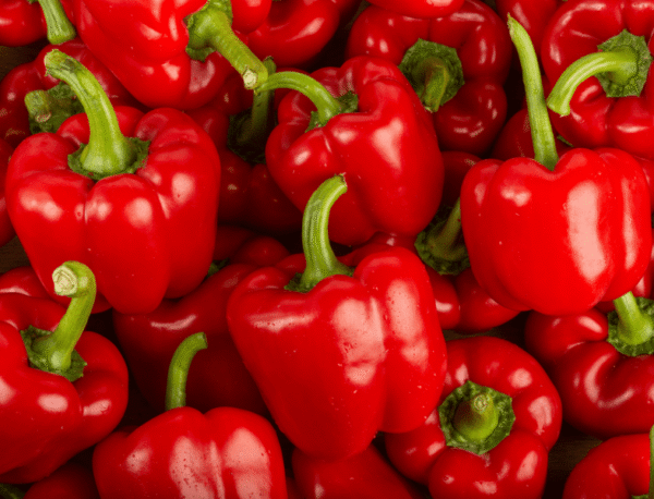 poivron rouge