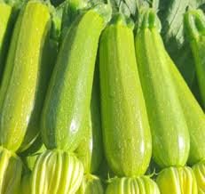 Courgette ( گرعة)