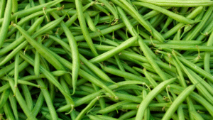 Haricots verts