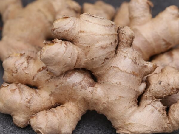 Gingembre