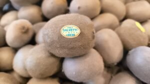 Kiwi italien