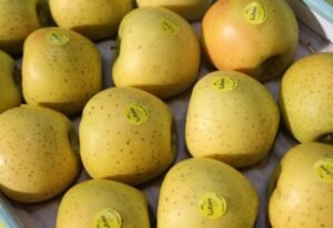 Pomme jaune